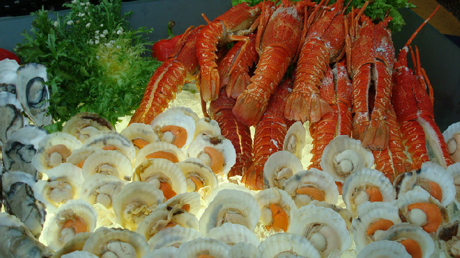 DSC03783.jpg
