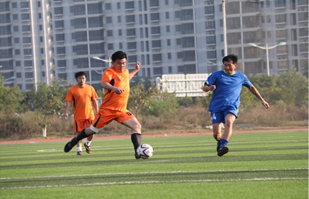 06.jpg