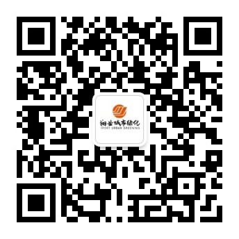 翔业城市绿化